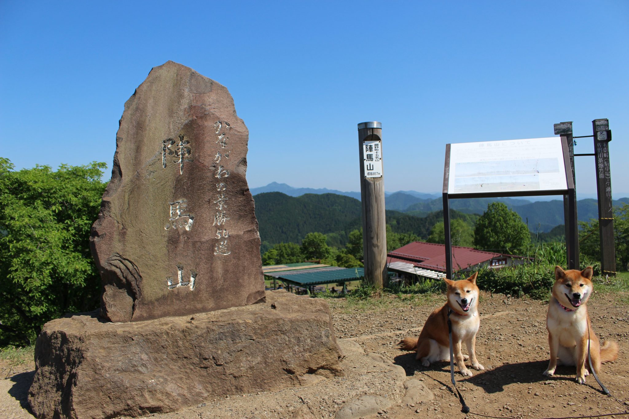 和田峠駐車場から行くペットとのハイキングに最適な陣馬山のご紹介！