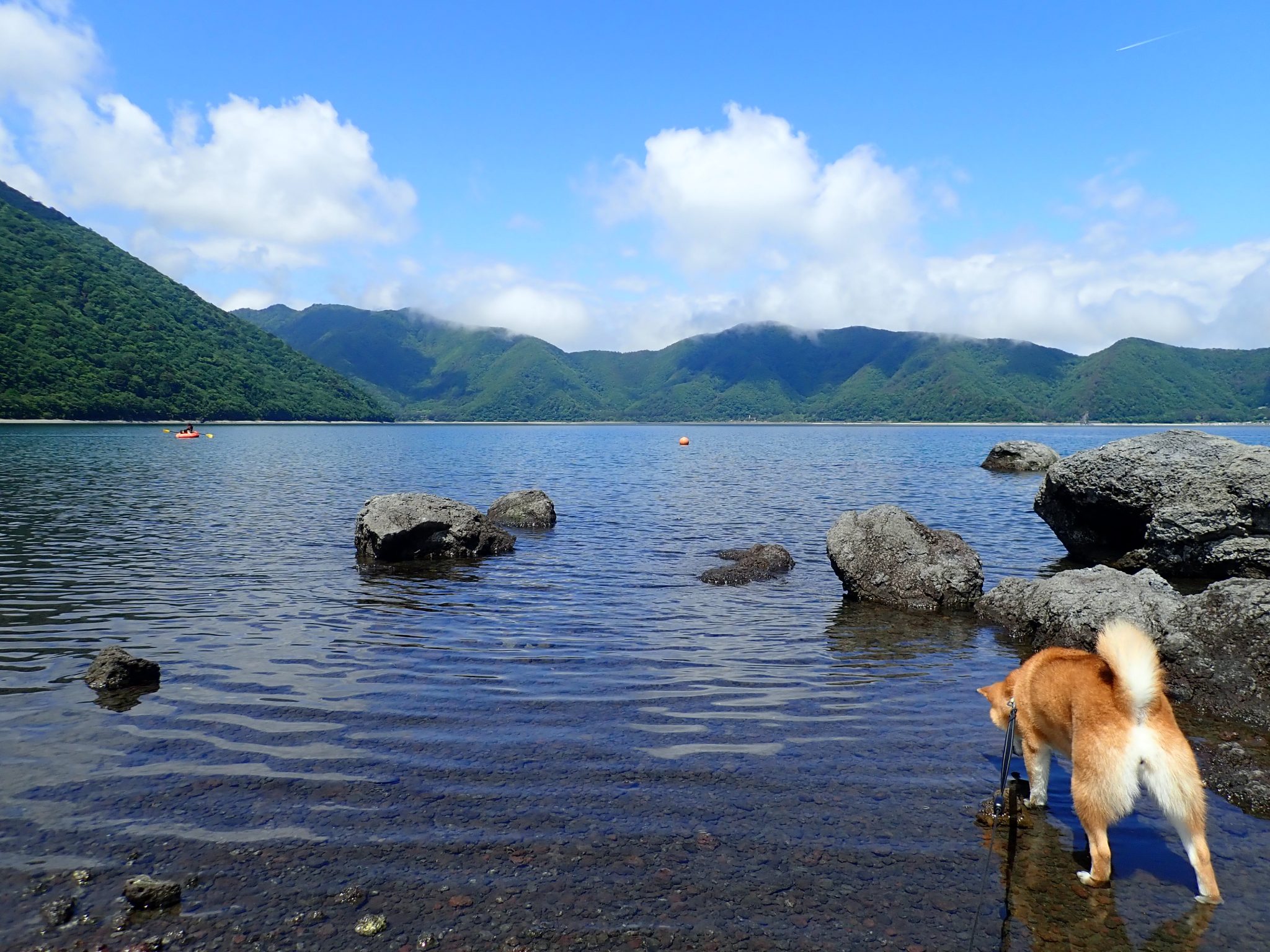 朝霧高原で富士五湖一キレイな本栖湖と富士山、ペットとランチ可能な本栖館のご紹介！