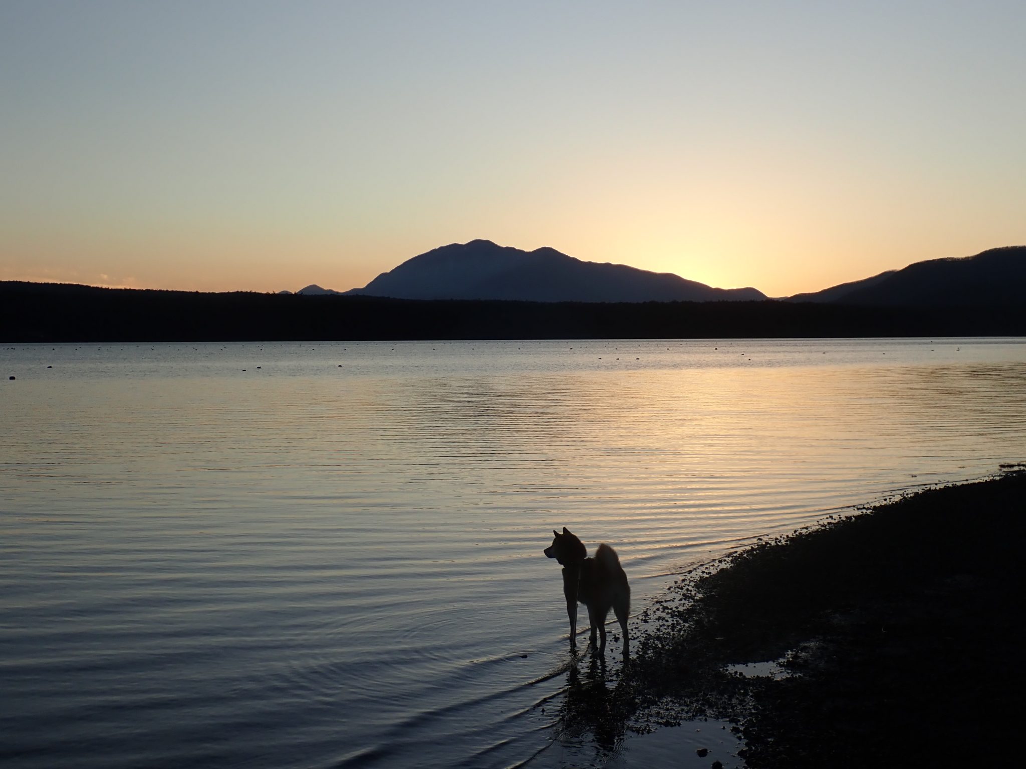 BBQもできてペットとの宿泊に最適なヴィラ西湖と夕日が神秘的な西湖のご紹介！