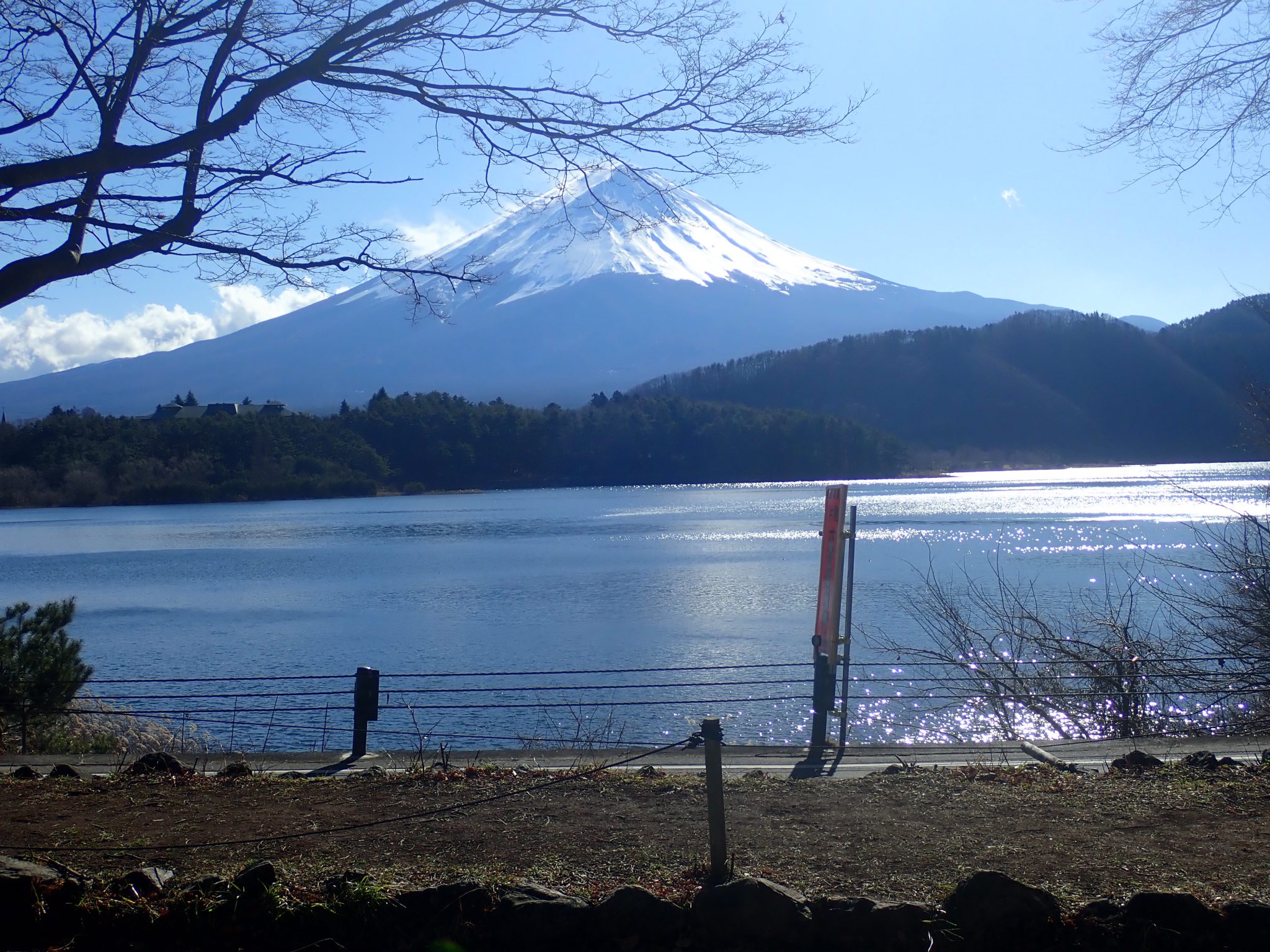 タコパに最適なペットと宿泊できるヴィラ西湖と立ち寄り湯に最適ないずみの湯、絶景の富士山のご紹介！
